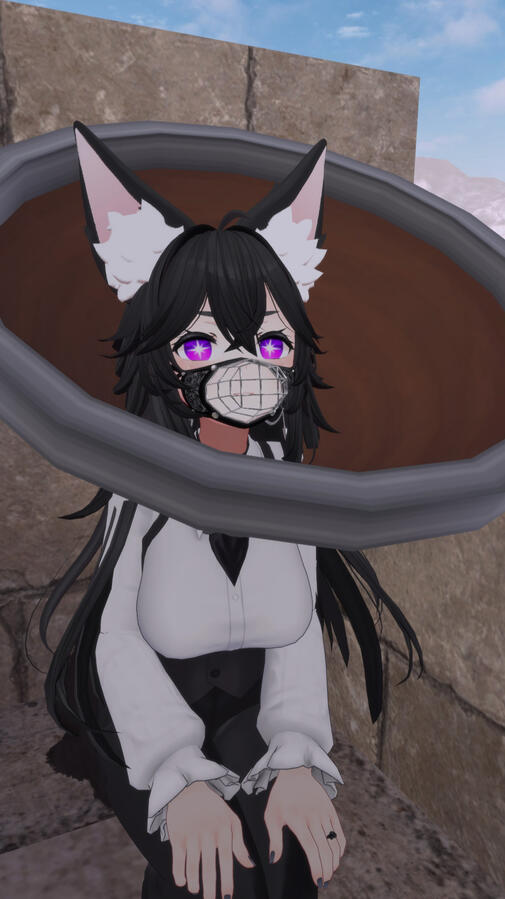 Improvised Cone of Shame